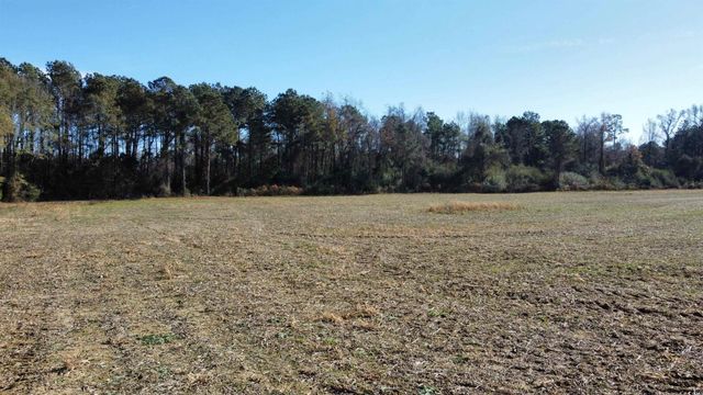 TBD Highway 917, Nichols, SC 29581