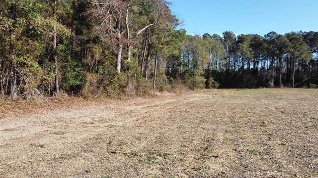 TBD Highway 917, Nichols, SC 29581