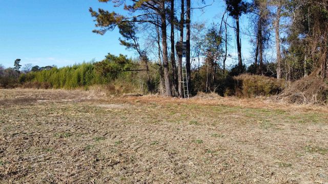 TBD Highway 917, Nichols, SC 29581