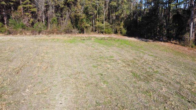 TBD Highway 917, Nichols, SC 29581