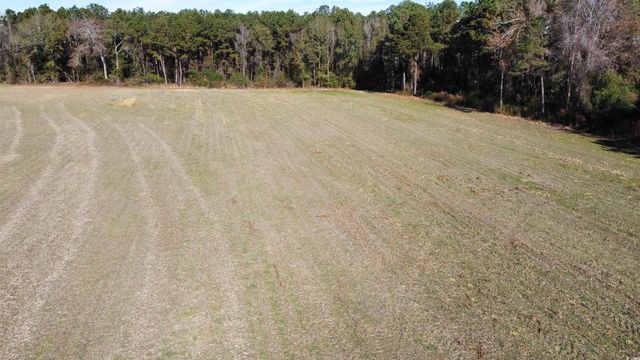 TBD Highway 917, Nichols, SC 29581