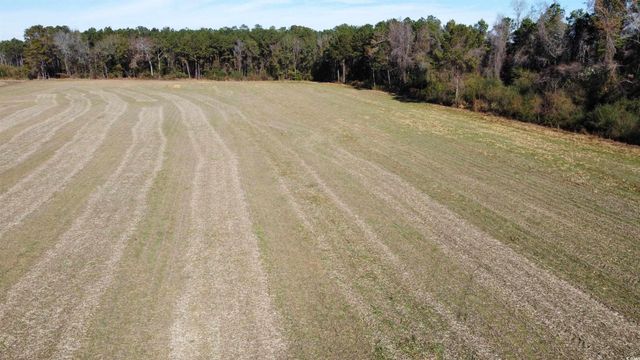 TBD Highway 917, Nichols, SC 29581