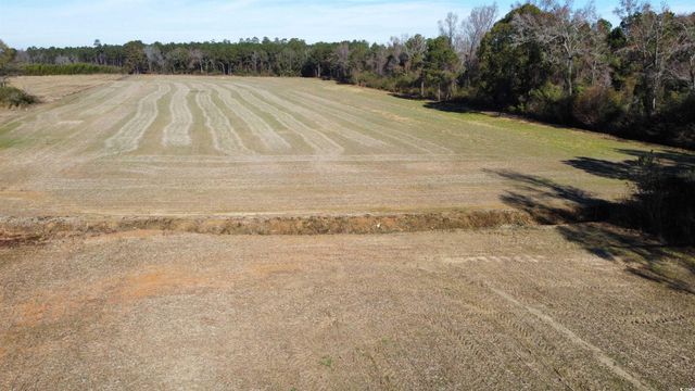 TBD Highway 917, Nichols, SC 29581