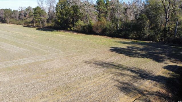 TBD Highway 917, Nichols, SC 29581