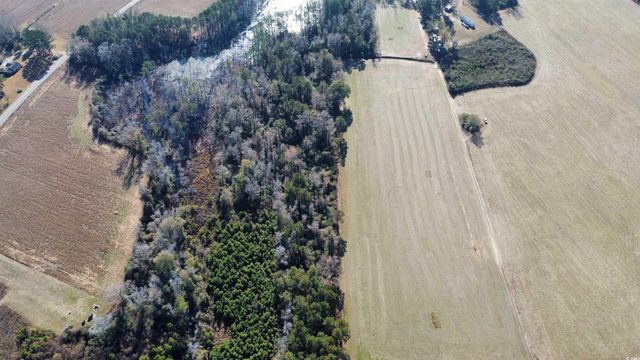 TBD Highway 917, Nichols, SC 29581