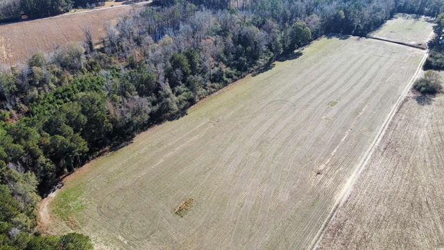 TBD Highway 917, Nichols, SC 29581