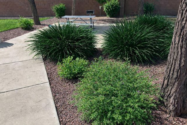 4132 E Chambers Street, Phoenix, AZ 85040