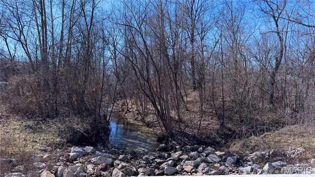 1005 Liberty Street, Mineral Point, MO 63660