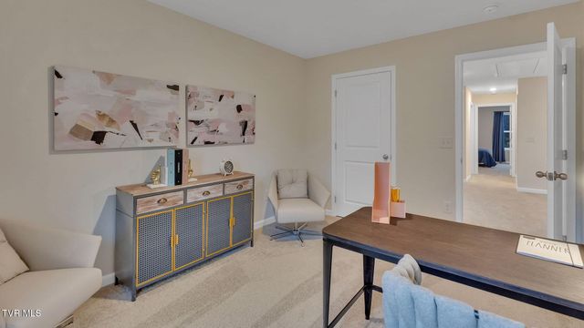 213 Artist Avenue, Johnson City, TN 37615