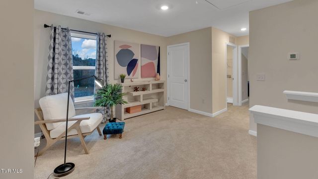 213 Artist Avenue, Johnson City, TN 37615