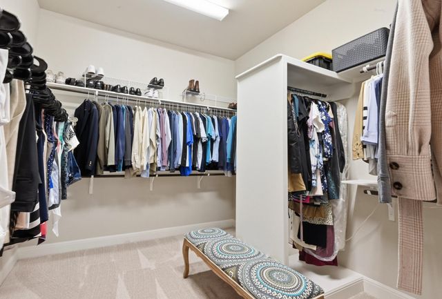 17004 Rush Pea CIR, Austin, TX 78738