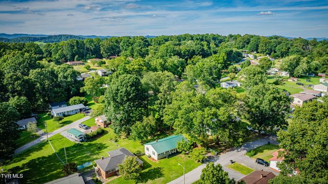 413 Holly Street, Mount Carmel, TN 37645