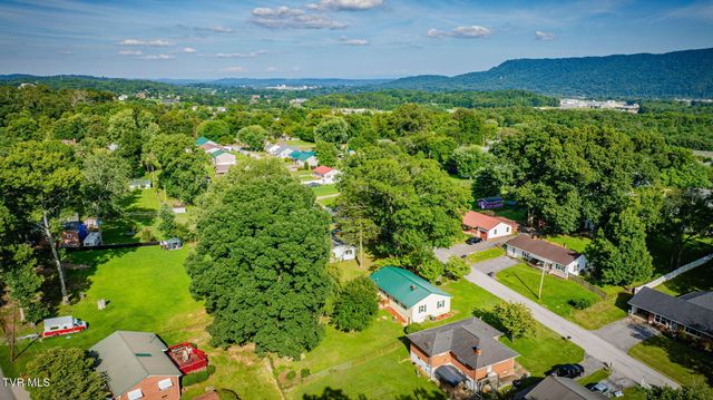 413 Holly Street, Mount Carmel, TN 37645