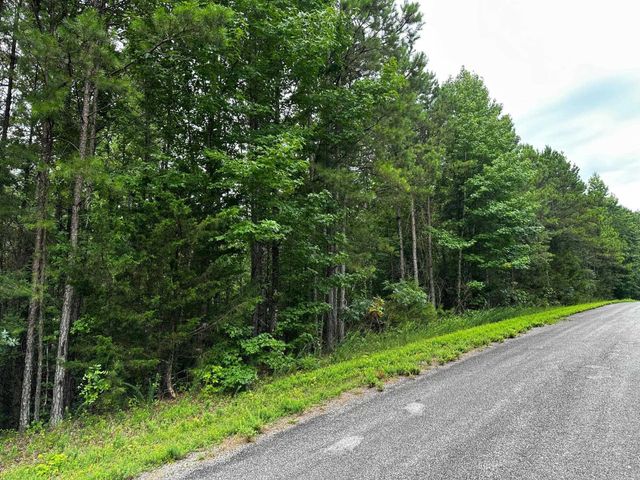 Lot 96 Cobalt Bay Drive, Shirley, AR 72153
