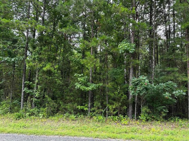 Lot 96 Cobalt Bay Drive, Shirley, AR 72153
