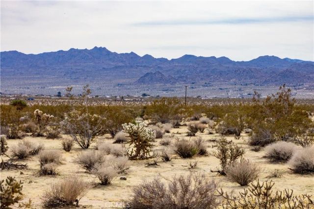 0 Appian Way, Joshua Tree, CA 92252