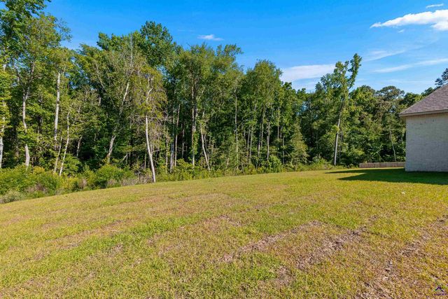 217 Golden Chestnut Bend, Bonaire, GA 31005