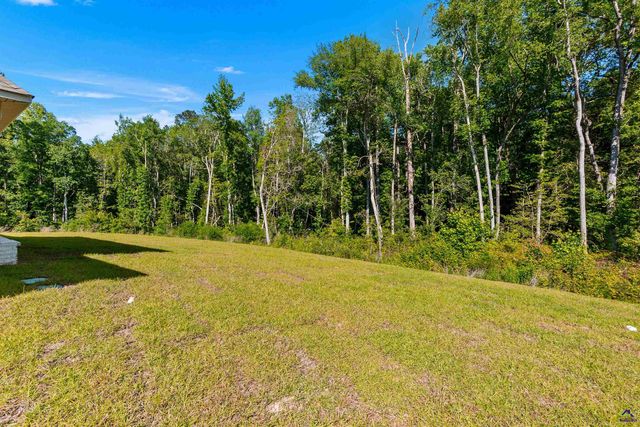 217 Golden Chestnut Bend, Bonaire, GA 31005