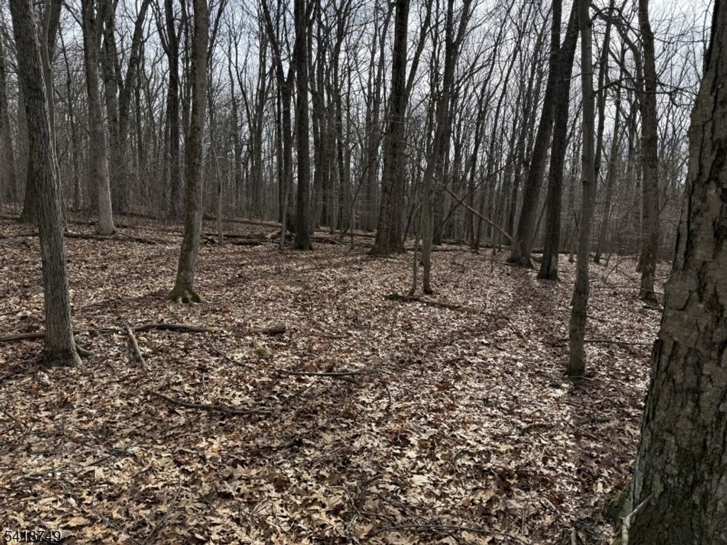 162 North Rd, Chester Twp., NJ 07930 — exterior