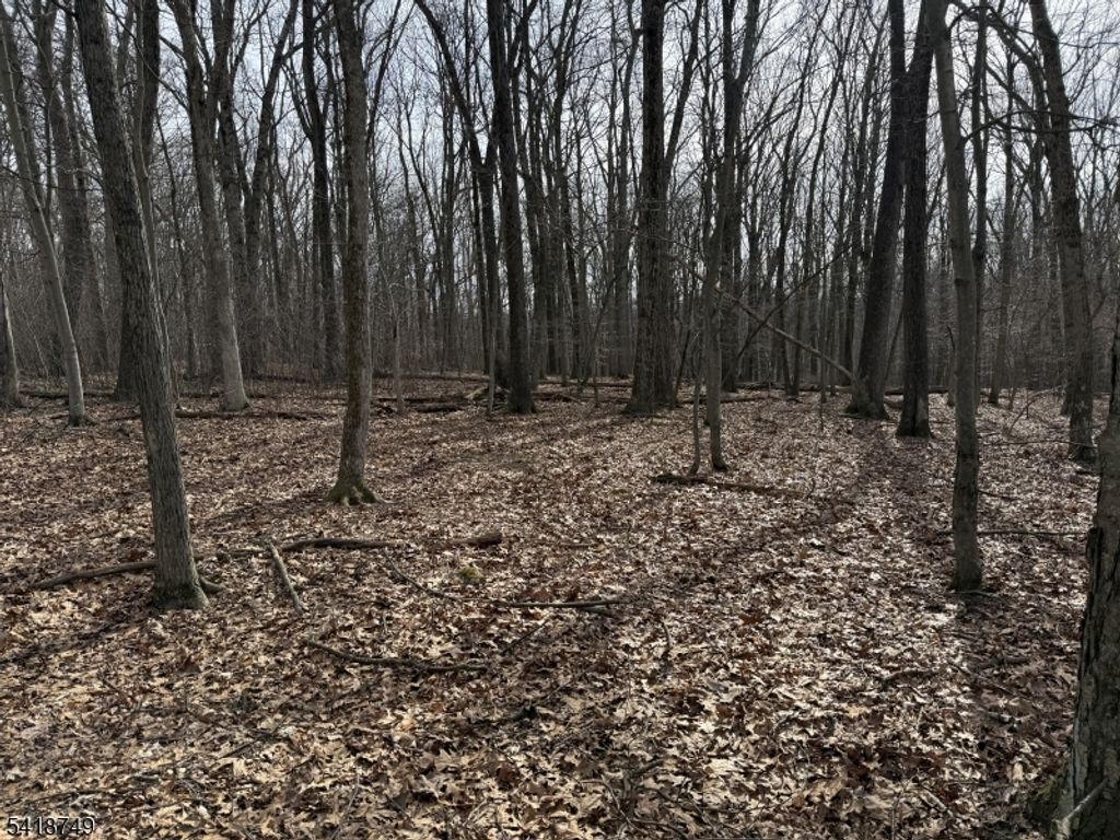 162 North Rd, Chester Twp., NJ 07930 — photo 2