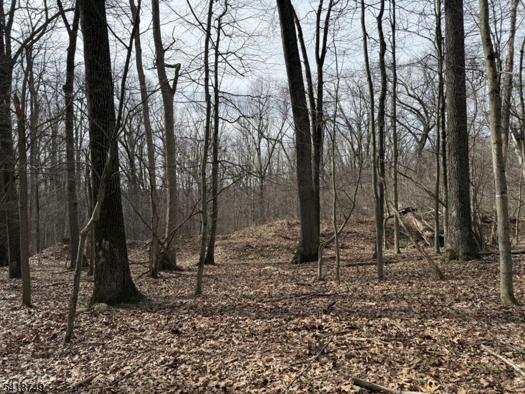 162 North Rd, Chester Twp., NJ 07930 — photo 3