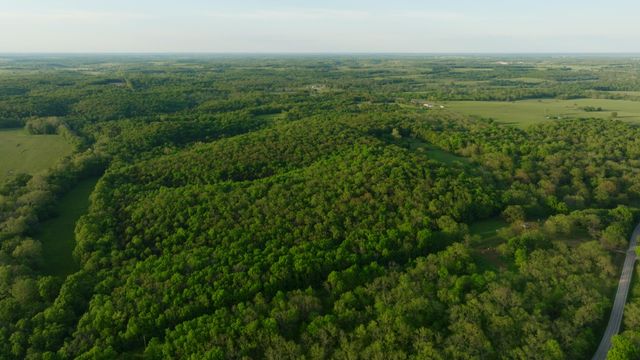 18420 S 975th Road, Stockton, MO 65785