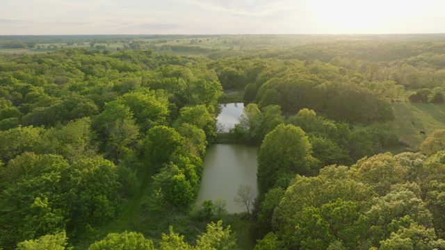 18420 S 975th Road, Stockton, MO 65785