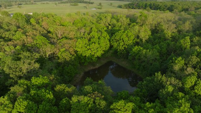 18420 S 975th Road, Stockton, MO 65785