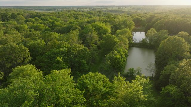 18420 S 975th Road, Stockton, MO 65785