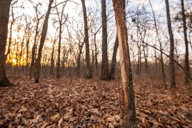 18420 S 975th Road, Stockton, MO 65785