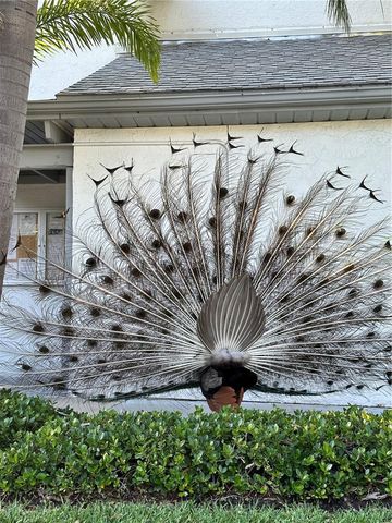 500 BEACH PARK LANE V209, Cape Canaveral, FL 32920