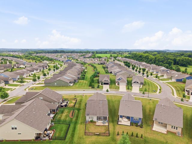 1402 Cannon Ln, Spring Hill, TN 37174