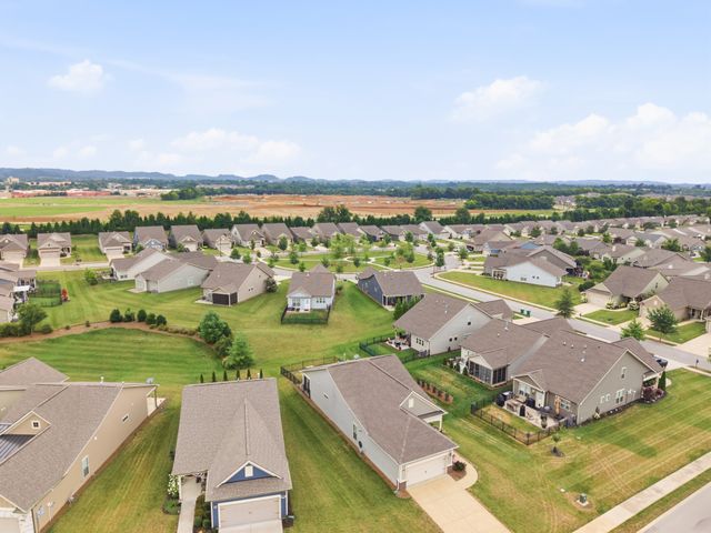 1402 Cannon Ln, Spring Hill, TN 37174