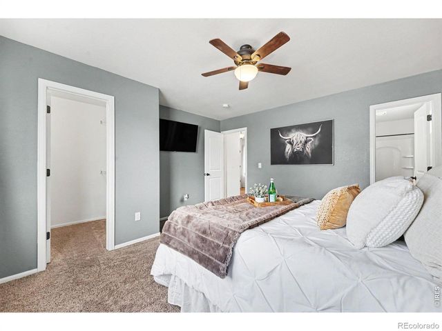 940 Scotch Pine Drive, Severance, CO 80550