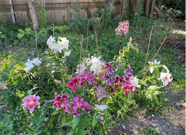 339 Seneca Parkway, Rochester, NY 14613