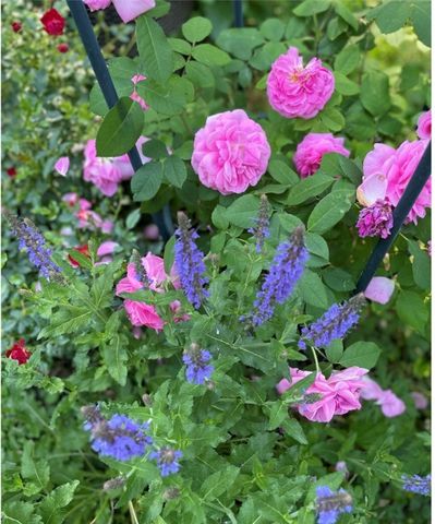 339 Seneca Parkway, Rochester, NY 14613