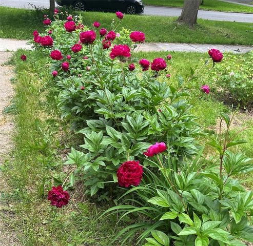 339 Seneca Parkway, Rochester, NY 14613