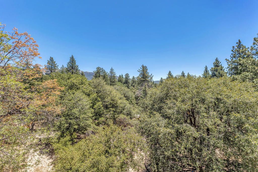 Image 62 of property listing at 24863 Ponderosa Drive, Idyllwild, CA 92549