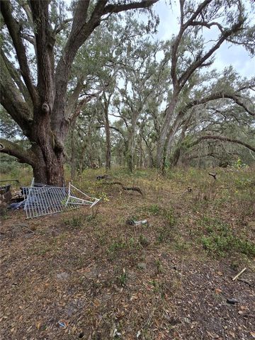 9046 SE 12TH STREET, Webster, FL 33597