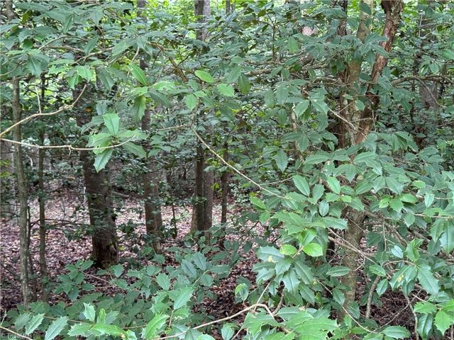 Lot 22 Zinzendorf Lane, Moravian Falls, NC 28654