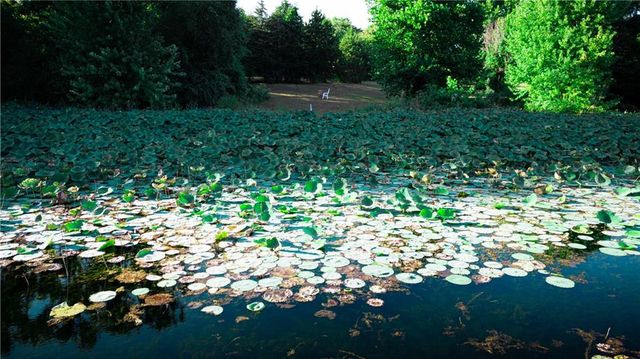 144 SE 250 Road, Warrensburg, MO 64093