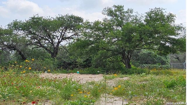 4938 LAST CHANCE, Elmendorf, TX 78112