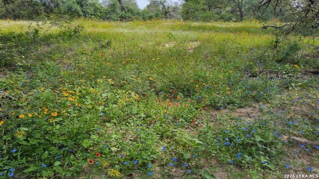 4938 LAST CHANCE, Elmendorf, TX 78112