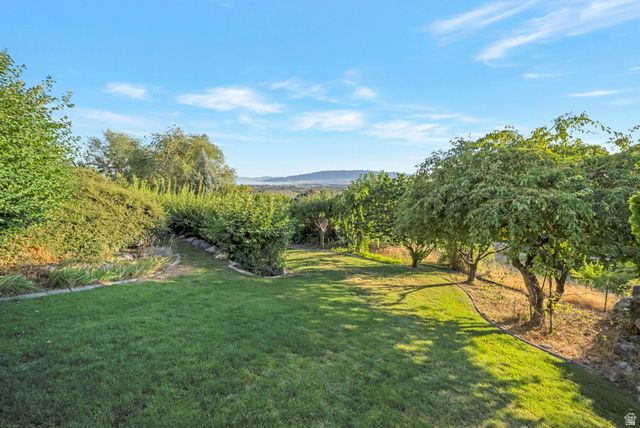 9157 N CANYON HEIGHTS DR, Cedar Hills, UT 84062