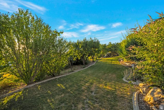 9157 N CANYON HEIGHTS DR, Cedar Hills, UT 84062