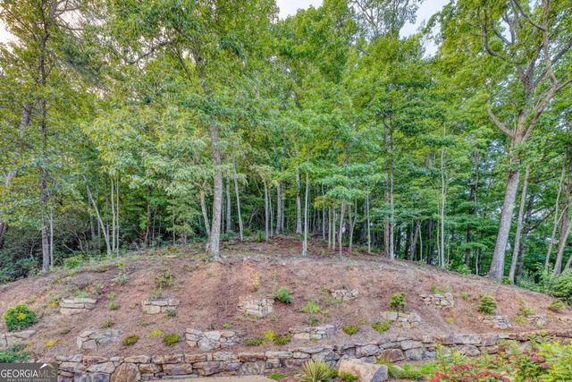 280 Pointe Of View 15, Blue Ridge, GA 30513