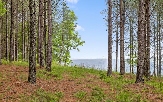 Lot 1251 Mullins Point, Guild, TN 37340