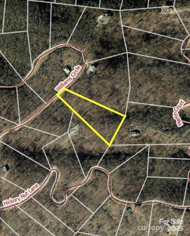 0 Williams Circle 337, Lake Lure, NC 28139