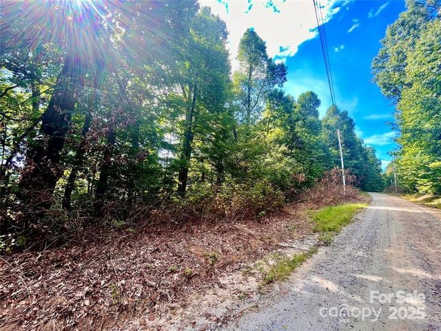 0 Williams Circle 337, Lake Lure, NC 28139