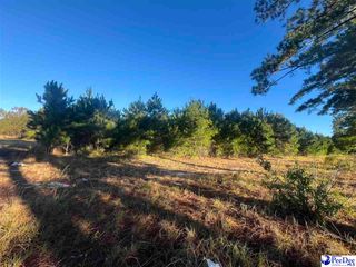 TBD Southern Aire Road #1, Timmonsville, SC 29161
